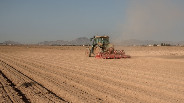 A tractor kicks up dust as it drives through an unplanted field of the agricultural region of El Campo de Cartagena in Los Alcazares, Spain.