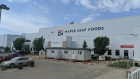 The Maple Leaf Foods plant is shown in Brandon, Man., in this 2020 handout photo. 