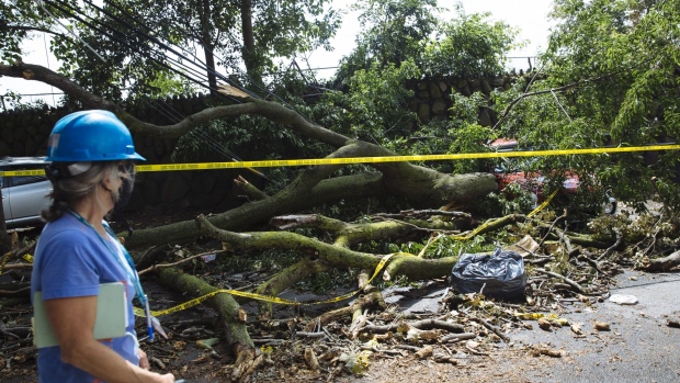 A ConEdiso) worker walks past a downed tree and power lines in Queens. Photographer: Angus Mordant/Bloomberg