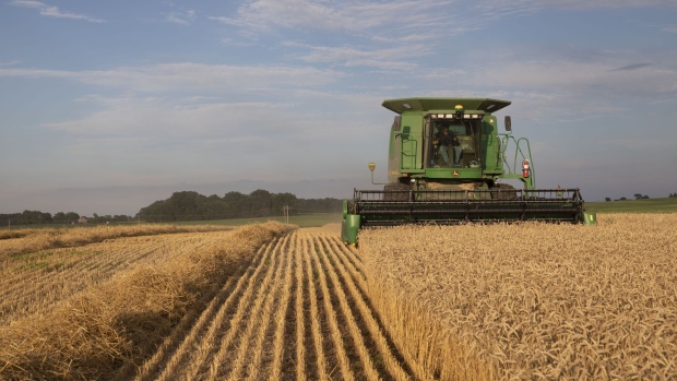 A Deere & Co. combine harvester is used to harvest soft red winter wheat in Kirkland, Illinois, U.S., on Friday, July 17, 2020. U.S. winter wheat production is forecast at 1.22 billion bushels, down 4% from the June 1 forecast and 7% below 2019. Photographer: Daniel Acker/Bloomberg