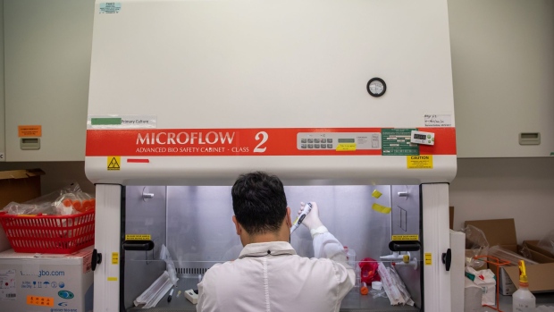 A technician cultivates lung cells as he preps for research into the infectivity of the SARS-CoV-2 in human lungs at a laboratory at the University of Hong Kong (HKU) in Hong Kong, China, on Friday, March 20, 2020. 