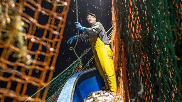 HASTINGS, ENGLAND - AUGUST 11: Skipper Stuart Hamilton, pulls in the nets while fishing for flatfish such as Skate and Dover Sole in the English Channel from a Hastings fishing boat on August 10, 2020 in Hastings, England. For coastal communities around the UK, the fishing industry is their economic lifeblood, bringing in close to 1 Billion GBP to the UK economy annually. While the industry is small in comparison to the financial sector, fishing rights have assumed outsized importance in Brexit negotiations between the UK and European Union. Many fishermen would see the UK’s departure from the Common Fisheries policy as a step forward, arguing that our membership has resulted in the loss of British jobs and income. Most concede however that a compromise will need to be struck, as much of the catch is sold into European markets, which, if disrupted, would be a major blow to British fishing operations. Meanwhile, warming waters have driven much of the profitable fish, such as cod, farther north, only to be replaced with less profitable species such as spider crab. As waters have warmed the crabs have massed in the channel where they come to shed their shells, a process that leaves much of them inedible. Amid these environmental and political concerns, there is the coronavirus pandemic, which shuttered countless restaurants and deprived these fleets of many regular customers. (Photo by Dan Kitwood/Getty Images)