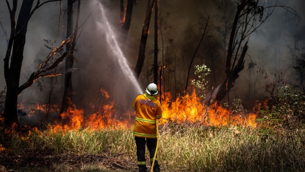 A New South Wales (NSW) Rural Fire Service volunteer douses a fire during back-burning operations in bushland near the town of Kulnura, New South Wales, Australia, on Thursday, Dec. 12, 2019. The smoke blanketing Sydney is a “public health emergency,” according to a coalition of Australian doctors and researchers who say climate change has helped fuel the wildfires that have produced unprecedented haze. Photographer: David Gray/Bloomberg