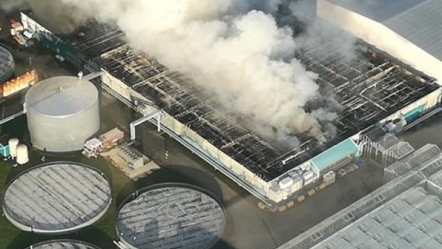 Canopy Growth fire at facility in Delta, B.C.
