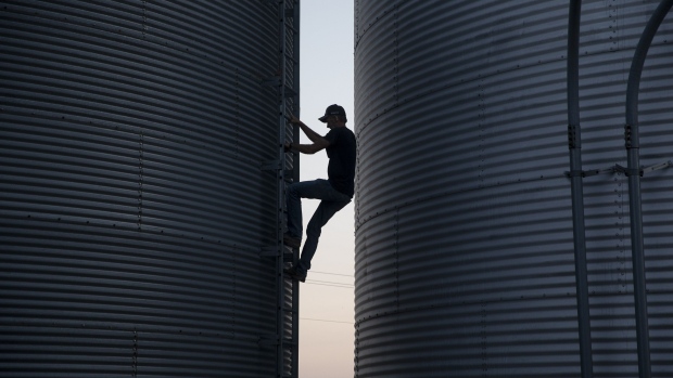A farm worker climbs down a grain bin after inspecting its remaining capacity during a soybean harvest in Wyanet, Illinois, U.S., on Friday, Sept. 25, 2020. Soybean futures fell to the lowest in almost two weeks in Chicago, extending a decline below $10 a bushel, as U.S. harvesting progresses. Corn prices also retreated.