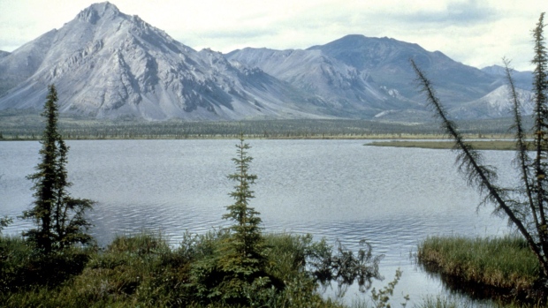 ARCTIC NATIONAL REFUGE, ALASKA - UNDATED: (FILE PHOTO) This undated photo shows the Arctic National Wildlife Refuge in Alaska. The U.S. Senate voted not to allow drilling for oil in the refuge March 19, 2003 by a 52-to-48 vote. (Photo by US Fish and Wildlife Service/Getty Images) Photographer: Getty Images/Getty Images North America