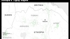 BC-Ethiopia-Rebels-Say-Fighting-Persists-After-Their-Capital’s-Fall