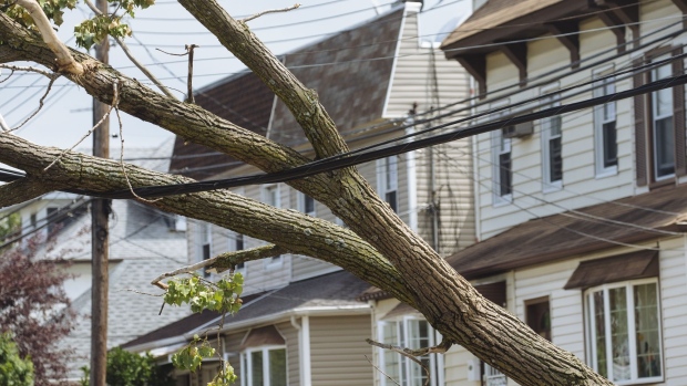 A fallen tree rests on a power line in the College Point neighborhood of the Queens borough in New York, U.S., on Friday, Aug. 7, 2020. More than 1.2 million homes and businesses from New York to Delaware are still without power after Tropical Storm Isaias battered the region. Photographer: Angus Mordant/Bloomberg