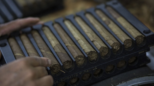A worker pack cigars at the Quesada Cigars facility in Santiago de los Caballeros, Dominican Republic.