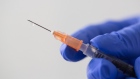 A droplet of liquid falls from a syringe needle in this arranged photograph taken at the Chaika Clinic in Moscow, Russia, on Monday, Aug. 10, 2020. Russia registered its first coronavirus vaccine, President Vladimir Putin said during a televised meeting with the government. Photographer: Andrey Rudakov/Bloomberg