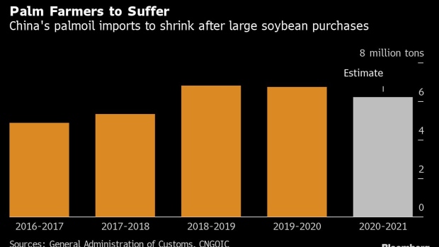 BC-China’s-Appetite-for-Palm-Oil-Set-to-Slide-to-Three-Year-Low