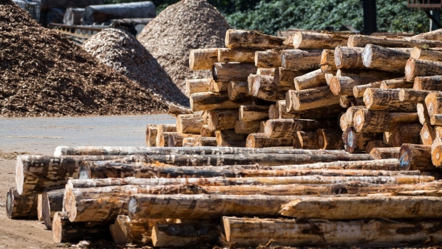 Logs at a sawmill in Chemainus, British Columbia, Canada, on Wednesday, Sept. 3, 2020. Lumber futures for November delivery dropped 4.1% to $670.50 per 1,000 board feet on the Chicago Mercantile Exchange, the lowest for a most-active contract since Aug. 11. Photographer: James MacDonald/Bloomberg