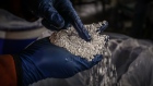 A worker inspects silver granules at a smelter in Sydney.