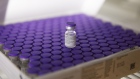 A vial of the the Pfizer-BioNTech Covid-19 vaccine in a refrigerator at the Wolfson medical center in Holon, Israel, on Saturday, Dec. 19, 2020. Israelis returning from the U.K., Denmark, and South Africa will be sent to isolation in government-run quarantine sites to help prevent a mutant strain of coronavirus from entering the country.