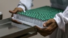 An employee removes vials of Covishield, the local name for the Covid-19 vaccine developed by AstraZeneca Plc. and the University of Oxford, from a machine on the production line at the Serum Institute of India Ltd. Hadaspar plant in Pune, Maharashtra, India, on Friday, Jan. 22, 2021. Serum, which is the world's largest vaccine maker by volume, has an agreement with AstraZeneca to produce at least a billion doses. Photographer: Dhiraj Singh/Bloomberg