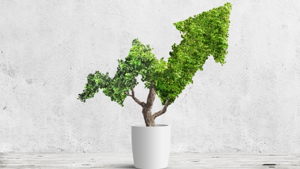 Why interest in ESG investing is set to explode