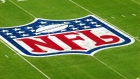 The NFL logo is seen after being painted on the field at Dolphin Stadium in Miami Gardens, Florida, on Wednesday, Jan. 24, 2007, Photographer: RICHARD SHEINWALD