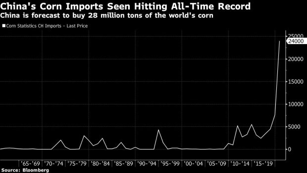 BC-China-Corn-Imports-to-Surge-to-Record-High-This-Year-US-Says