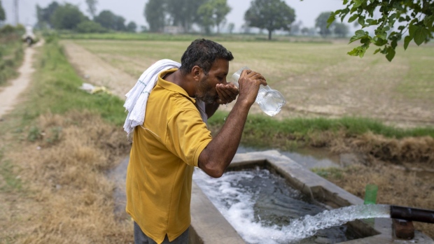 A farmer drinks from a well on his farm where he is growing bottle gourds as an alternative to rice, in Karnal district, Haryana, India, on Friday, June 26, 2020. India's 1.3 billion people have access to only about 4% of the world’s water resources, and farmers consume almost 90% of the groundwater water available. Stoked by climate change, the water crisis has forced Prime Minister Narendra Modi's government to try and turn around decades of established farming practices and convince the country's most powerful voting bloc to change the crops they plant. Water-guzzlers like rice and wheat are out, corn and pulses are in. Photographer: Prashanth Vishwanathan/Bloomberg