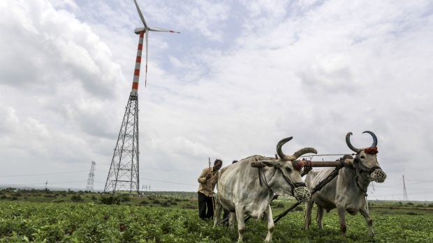 Cattle pull a plough near a wind turbine manufactured by Suzlon Energy Ltd. operating at the Ostro Energy Pvt. Dewas Wind Project in Dewas, Madhya Pradesh, India, on Monday, Aug. 14, 2017. As of June, India had 32 gigawatts of wind capacity. The nation is aiming to raise that to 60 gigawatts by 2022 as part of the country's climate pledge.