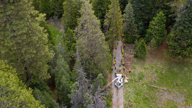 Crews from CalFire and National Guard work to clear debris from a forest in Shaver Lake, Calif., on June 7. Photographer: David Paul Morris/Bloomberg