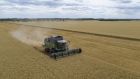 A combine harvester, manufactured by Fendt GmbH, cuts through a wheat field during harvest in Riedstadt, Germany, on Tuesday, July 9, 2019. Europe's farmers are still bracing for bumper wheat crops after last month's heatwave which threatened to scorch some fields. Photographer: Alex Kraus/Bloomberg