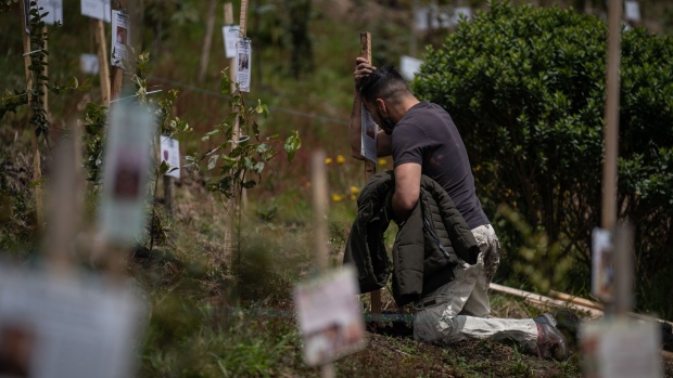 A mourner kneels in front of a tree planted with the ashes of a victim lost to Covid-19 at the Paramo de Guerrero nature preserve near Cogua, Colombia, on Sunday, June 27, 2021. Protest-wracked Colombia surpassed 104,000 deaths from Covid-19 as the government tries to balance reopening large swathes of the economy with protecting citizens from the pandemic.