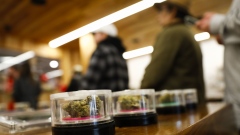 Marijuana is displayed for sale at the MedMen dispensary in West Hollywood, California, U.S., on Tuesday, Jan. 2, 2018. California launched legal marijuana Monday, and customers lined up to celebrate the historic moment in San Diego, Sacramento and Oakland -- some of the municipalities given the green light to start sales on January 1. Meantime, in Los Angeles and San Francisco, the state's first- and fourth-largest cities, customers were turned away empty handed. Photographer: Patrick T. Fallon/Bloomberg