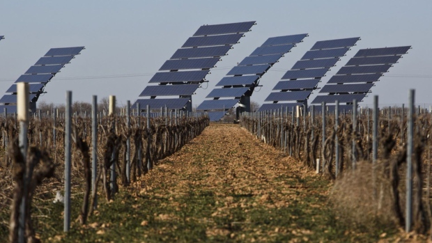 Solar panels stand among vines growing in a farmer's field in Madridejos, Spain. Photographer: Angel Navarrete/Bloomberg