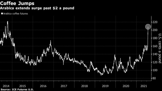 BC-Coffee-Surges-to-7-Year-Highs-With-More-Cold-Headed-for-Brazil