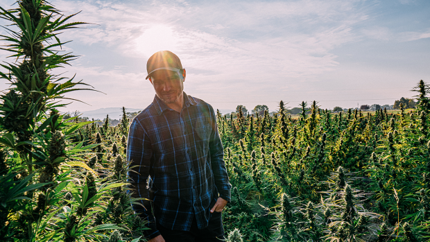 British Columbia’s cultivation is well-known across the world and recognized as some of the finest.