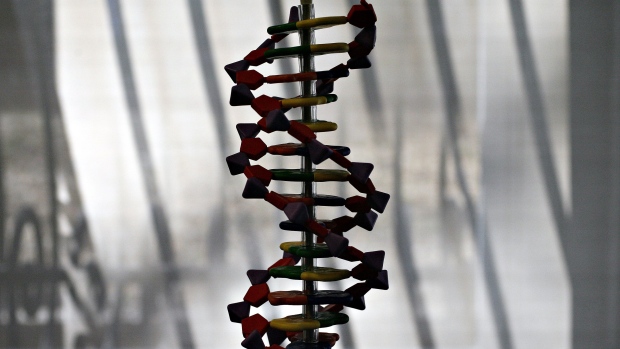 A model of human DNA