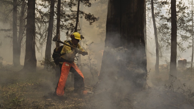 A firefighter uses an axe on a burning tree during the Caldor Fire in Christmas Valley in South Lake Tahoe, California, U.S., on Friday, Sept. 3, 2021. The Caldor Fire, which ignited Aug. 14 has burned at least 212,907 acres, or more than 332 square miles, and containment stood at 29% as of Friday, Cal Fire said in its morning update. Photographer: Eric Thayer/Bloomberg