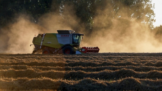 A Lexion combine harvester cuts through a field of wheat during a harvest in Benfleet, U.K., on Tuesday, Aug. 24, 2021. Global wheat prices jumped after the U.S. shocked markets earlier in the month with a huge cut to Russia’s crop estimate, while there have been worsening production outlooks and quality issues in other major growers. Photographer: Chris Ratcliffe/Bloomberg