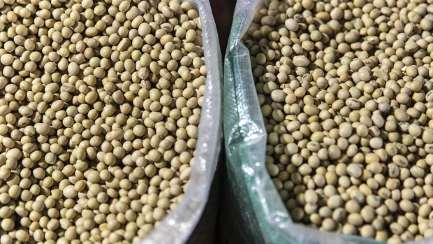 Soybeans are sold at a stall in a wholesale grains market in Shanghai, China, on Tuesday, June 16, 2020. Chinese soy processors need more soybeans for the fourth quarter and early next year as supplies from Brazil taper off seasonally. Photographer: Qilai Shen/Bloomberg