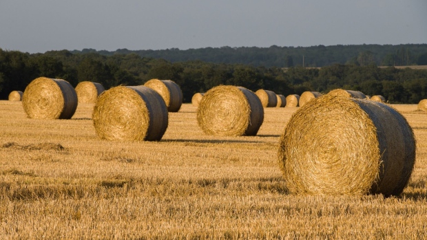 Bales of straw during a wheat harvest in Lierville, France, on Thursday, Aug. 12, 2021. Harvests have been delayed by heavy rain, with swathes of France and Germany seeing double or more of the normal rainfall in the past 30 days. Photographer: Nathan Laine/Bloomberg