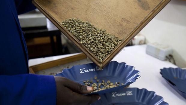 A worker inspects coffee samples at the Kyagalanyi Coffee Ltd export factory in Kampala, Uganda, on Tuesday, July 20, 2010. Uganda is Africa's second-biggest coffee producer, after Ethiopia, and the continent's largest grower of the robusta variety.