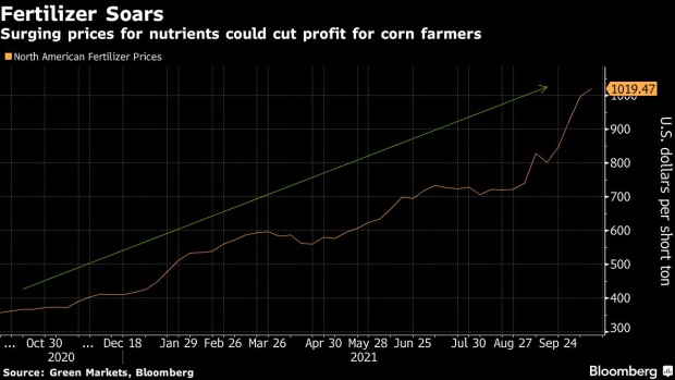 BC-Fertilizer-Price-Shock-Threatens-to-Slash-US-Corn-Profits