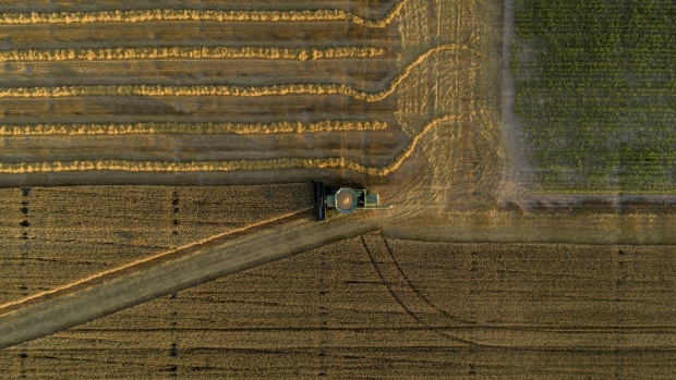 A Deere & Co. combine harvester is used to harvest soft red winter wheat in this aerial photograph taken over Kirkland, Illinois, U.S., on Friday, July 17, 2020. U.S. winter wheat production is forecast at 1.22 billion bushels, down 4% from the June 1 forecast and 7% below 2019. Photographer: Daniel Acker/Bloomberg