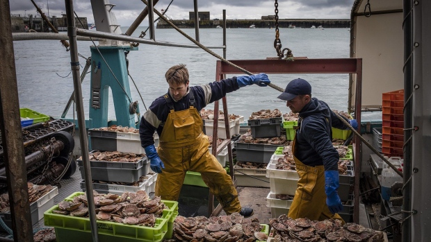 French fishermen unload the day's catch from their boat on May 6, 2021 to store in the fishery harbour of Granville, France. French fishery representatives call on the urgency of the situation concerning the restrictions put in place in Jersey waters with regard to French fishing vessels.