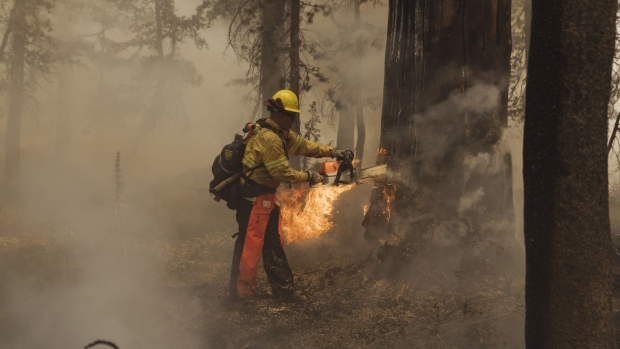 A firefighter watches fire burning through trees during the Caldor Fire in Kirkwood, California, U.S., on Friday, Sept. 3, 2021. The Caldor Fire, which ignited Aug. 14 has burned at least 212,907 acres, or more than 332 square miles, and containment stood at 29% as of Friday, Cal Fire said in its morning update. Photographer: Eric Thayer/Bloomberg