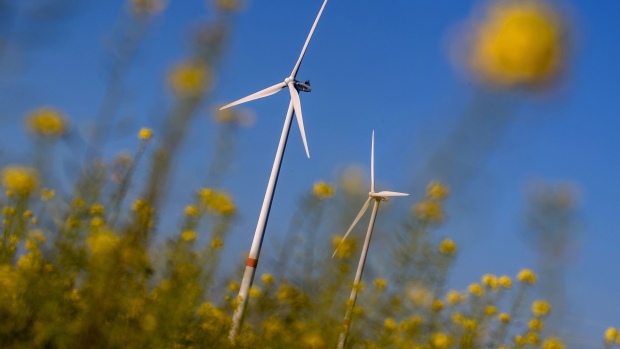 Wind turbines in fields of oil seed rape near Turnow-Preilack in Brandenburg district, Germany.