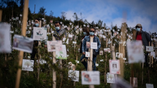 Mourners stand beside trees planted with the ashes of victims lost to Covid-19 at the Paramo de Guerrero nature preserve near Cogua, Colombia, on June 27. Photographer: Nathalia Angarita/Bloomberg