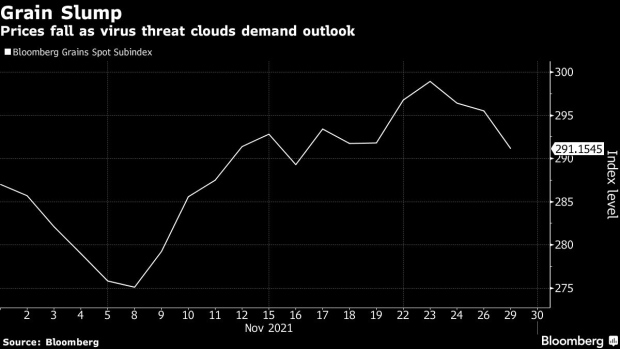 BC-Crop-Futures-Plunge-as-Global-Economic-Woes-Cloud-Demand-Outlook