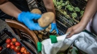 Volunteers sort fresh vegetables for food aid parcels at a distribution point in the Raval neighborhood of Barcelona.