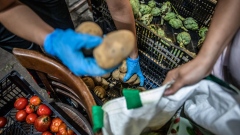 Volunteers sort fresh vegetables for food aid parcels at a distribution point in the Raval neighborhood of Barcelona.