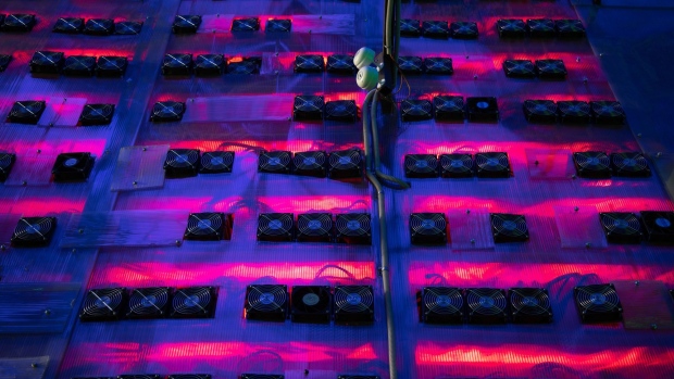 Cooling grates cover the rear of illuminated mining rigs at the Minto cryptocurrency mining center in Nadvoitsy, Russia, on Friday, Dec. 17, 2021. Bitcoin extended its five-week slide from an all-time high with risk sentiment across global financial markets dwindling. Photographer: Andrey Rudakov/Bloomberg
