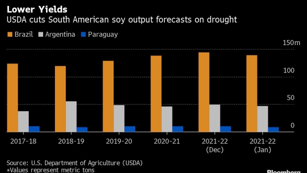 BC-Paraguay-Soybean-Giant-Girds-for-Worst-Harvest-in-Two-Decades