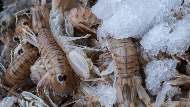 Freshly caught shrimp on ice ahead of auction in Sete, France, on Tuesday, Dec. 1, 2020. Boris Johnson’s officials believe a Brexit trade deal could be reached within days if both sides continue working in “good faith” to resolve what the U.K. sees as the last big obstacle in the talks -- fishing rights.