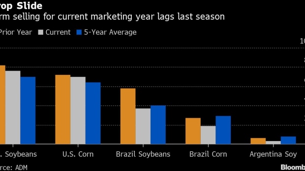 BC-Farmers-Hoard-Crops-as-Dry-Brazil-Weather-Keeps-Prices-Elevated